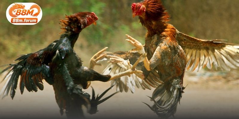 Chủ động thời gian giúp duy trì trải nghiệm cân bằng